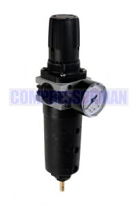 Parker P3X Series Moduflex Lite Filter/Regulator