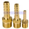 Hose Tail - Brass BSPT 1/8 - 2.5