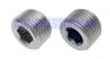 Plug Nickel Plated Brass Int Hex 1/8 - 1/2 BSPT