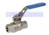 Ball valves Stainless steel BSPP BSPT NPT 1/4-3