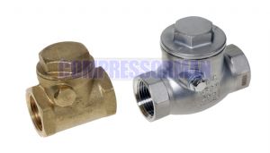 Swing Check Valve - Brass/Stainless Steel 3/8