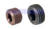 Blanking Plug Internal Hex Steel NPT 1/16 - 1