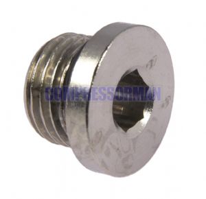 Plug Nickel Plated Brass Int Hex Metric & BSPP
