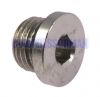 Plug Nickel Plated Brass Int Hex Metric & BSPP