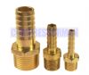 Brass Hosetails